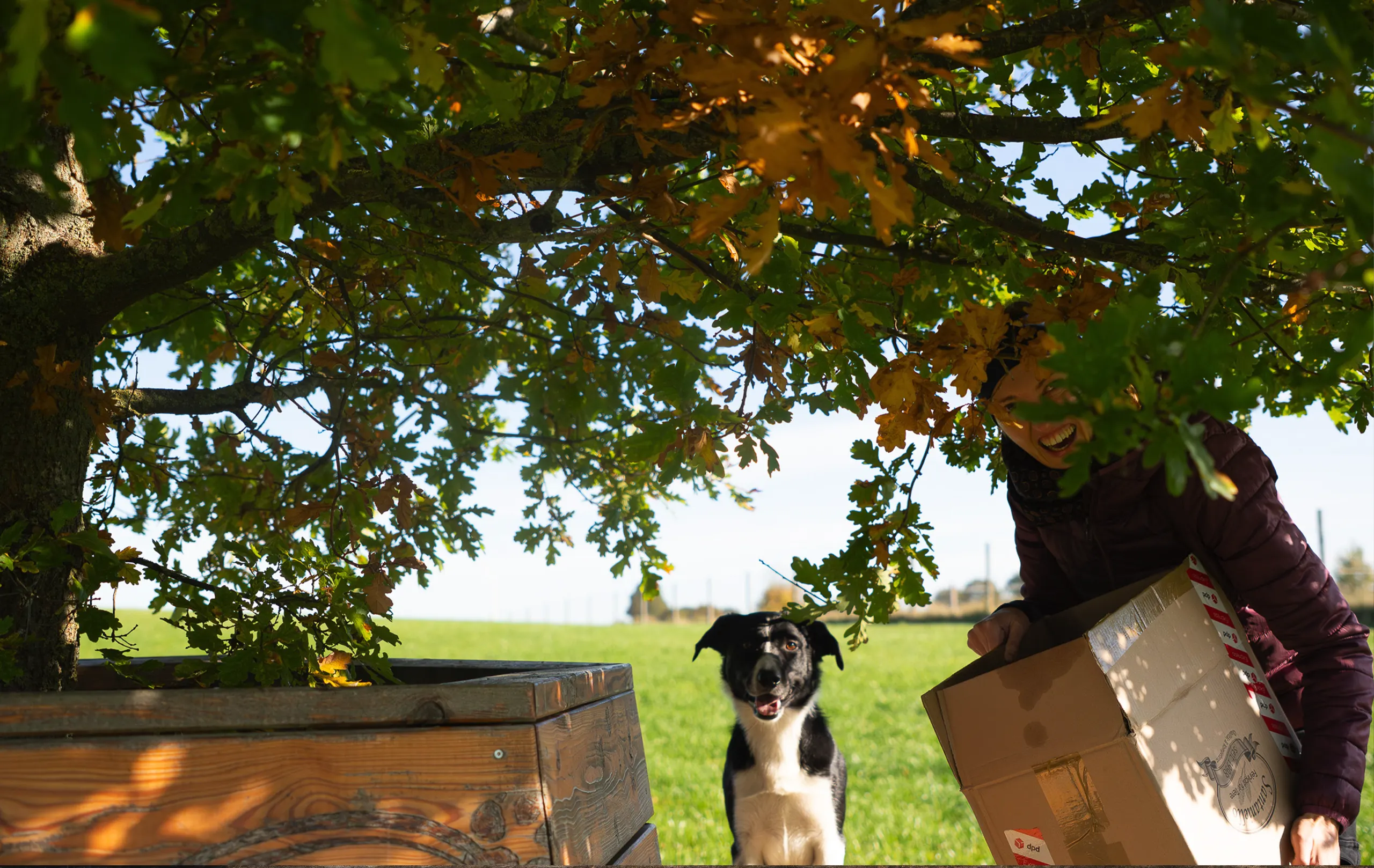 Santaniello-exklusives-hochwertiges-Hundefutter-Osnabrueck