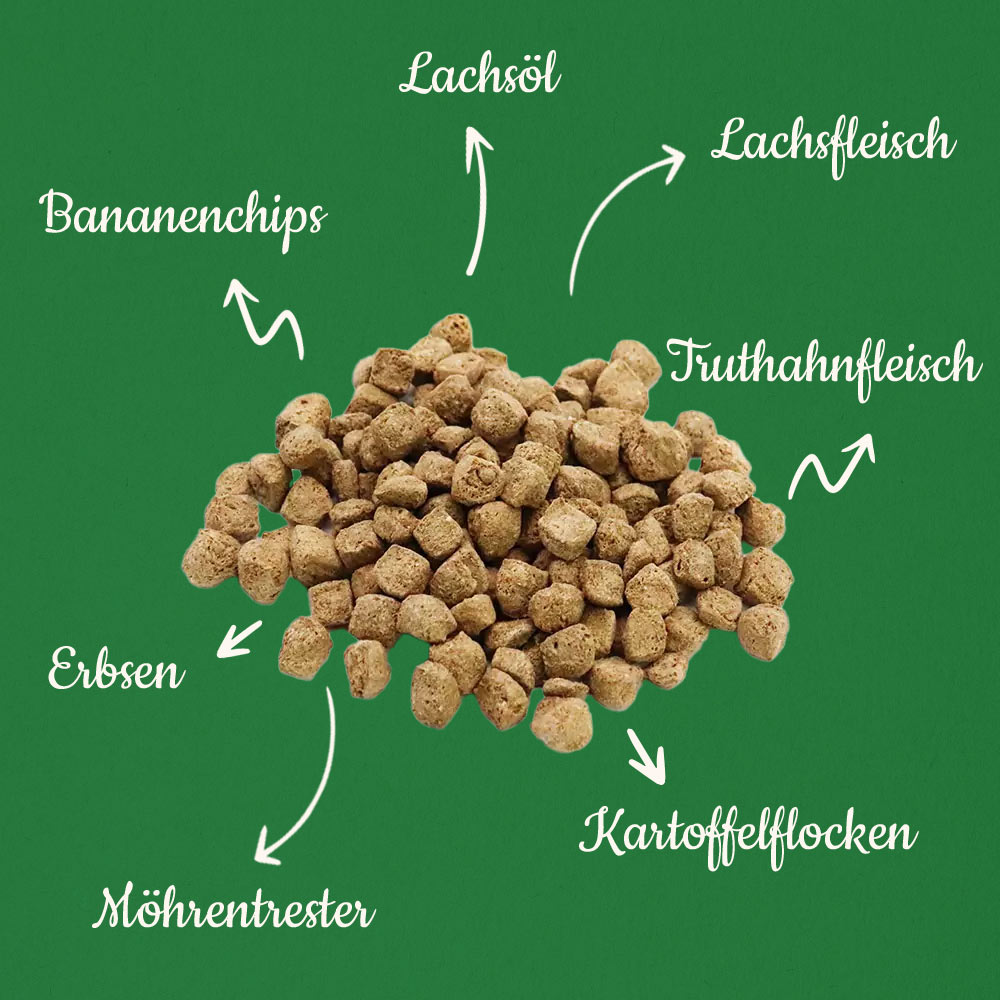 „Getreidefrei“ Probierpaket XL – Bild 3