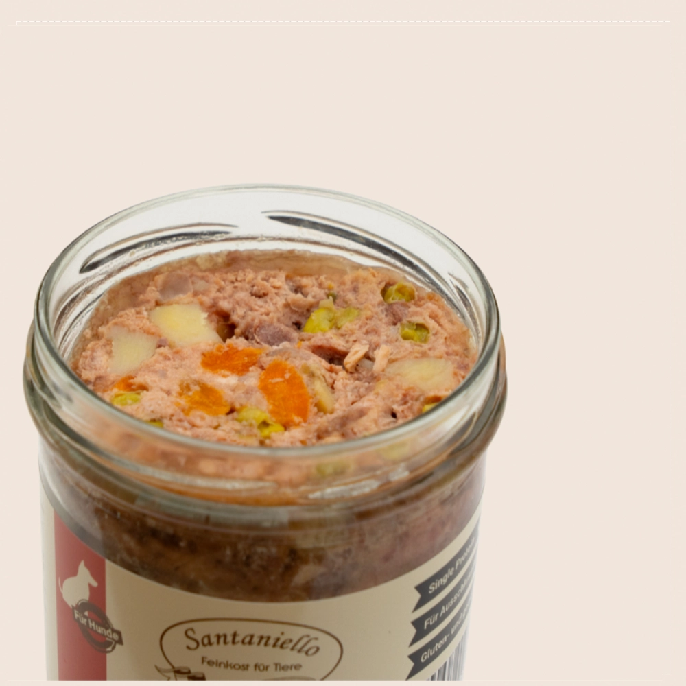 Blog_Nassfutter-fuer HUnd mit Kartoffeln
